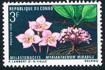 Congo PR 224 MLH Flower (BP447)