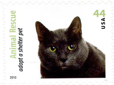 US 2010 Sc #4452 - Maltese Cat -MNH** single