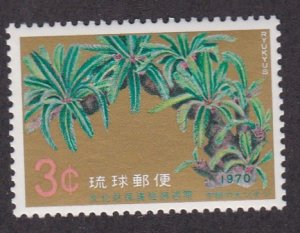 Ryukyu Islands # 205, Creat Cycad, LH