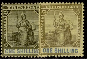 TRINIDAD EDVII SG141 + 142, 1s SHADE VARIETIES, M MINT. Cat £44.