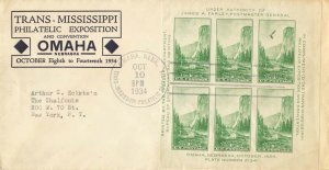 751 TRANS-MISSISSIPPI - YOSEMITE SS - Unknown #29 Black variety