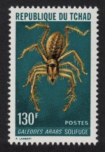 Chad Spider 'Galeodes araba' 130f KEY VALUE 1973 MNH SG#368