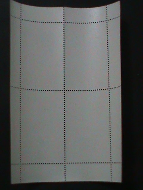 ​RUSSIA-TBIBA-TAIWAN CHINES FAMOUS SINGER-TERESA TENG LI QUEN MNH S/S-VF