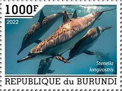 BURUNDI - 2022 - Dolphins - Perf Single Stamp - Mint Never Hinged