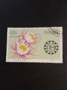 +Panama #C346                  CTO