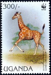 Rothschilds Giraffe, Running, Uganda stamp SC#1469a MNH