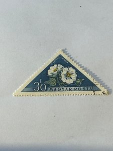 Hungary #1196