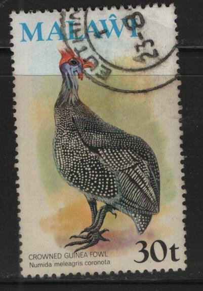 MALAWI, 241, USED, 1975, Helmeted guinea fowl