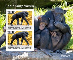 BURUNDI - 2022 - Chimpanzees - Perf 2v Souv Sheet - Mint Never Hinged