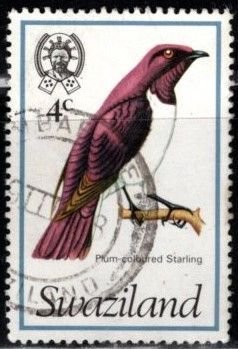 Swaziland - #247 Plum Colored Starling - Used