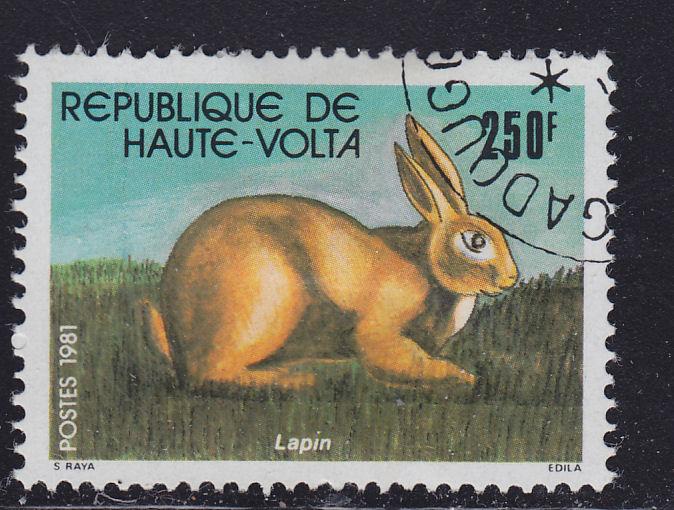 Burkina Faso 591 Rabbit 1981