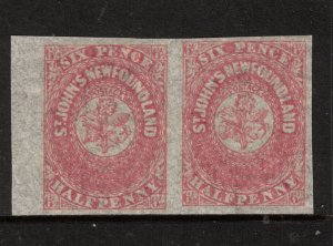 Newfoundland #21i Extra Fine Never Hinged Watermarked Pair