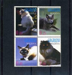 Gagauzia Moldova 1998 DOMESTIC CATS (4) stamps Perforated Mint (NH)