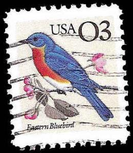 # 2478 USED EASTERN BLUEBIRD