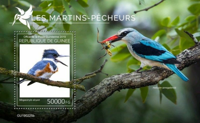 Z08 IMPERF GU190225b GUINEA (Guinee) 2019 Kingfishers MNH ** Postfrisch