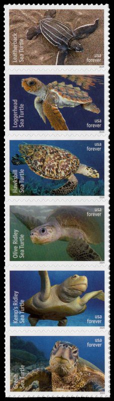 USA 5870b,5865-5870 Mint (NH) Protect Sea Turtles Strip/6 Forever Stamps