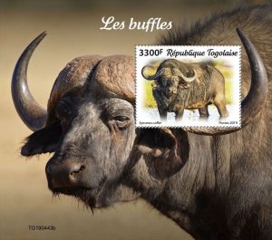 Togo 2019 MNH Wild Animals Stamps Buffalos Buffaloes Fauna African Buffalo 1v SS