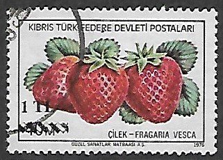 Northern Cyprus # 67 - Strawberries, Overprint - used.....{ZW10}