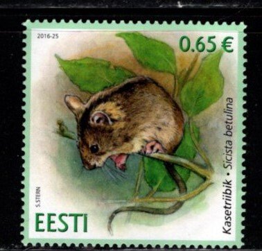 Estonia - #823 Sicista Betulina - MNH