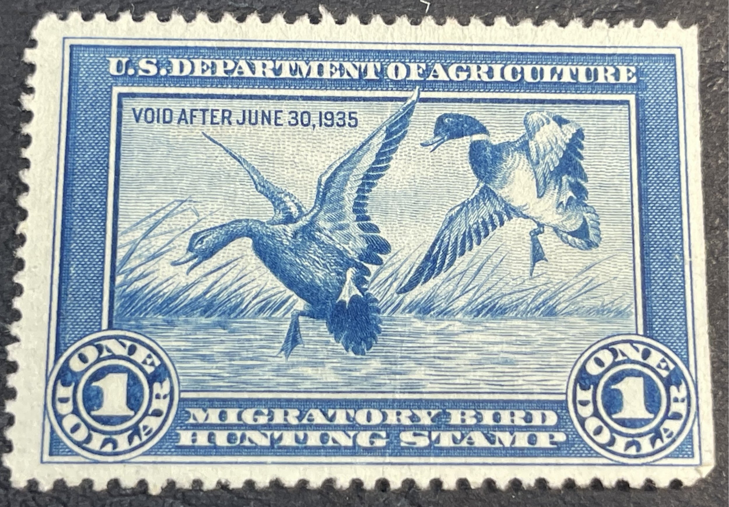 U.S. Rw1Mint/NO GumFederal Duck StampSingle1934(Lotp2