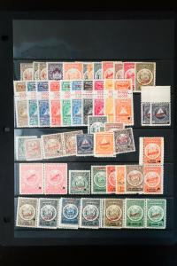 Nicaragua Stamp Collection of 55 Fiscal Topical Specimen