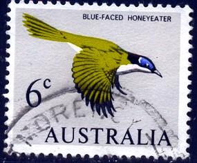 Bird, Blue-faced Honeyeater, Australia stamp SC#401 used