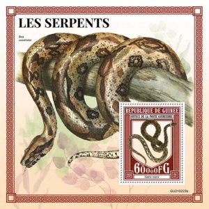 Guinea - 2021 Grass Snake - Stamp Souvenir Sheet - GU210223b