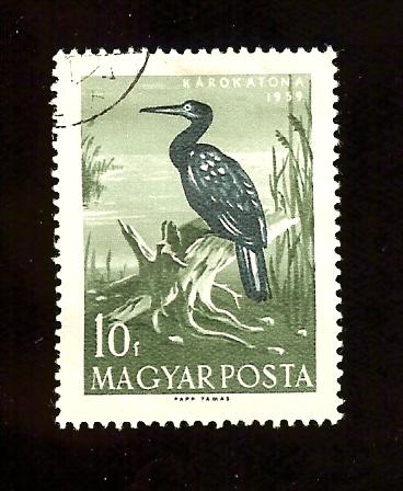 Hungary 1233 10f Cormorant bird cto  used hinged