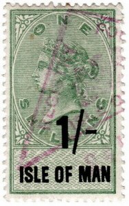 (I.B) QV Revenue : Isle of Man 1/- (1895)