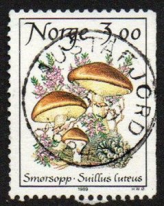 Norway Sc #889 Used