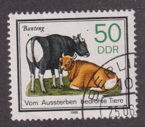 Germany DDR 2484 Buffalo 1985