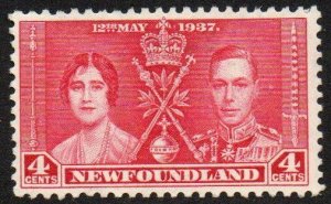 Newfoundland Sc #231 Mint Hinged