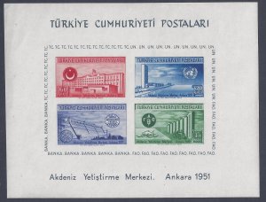 TURKEY 1952 UN SOUVENIR SHEET Sc 1054a NEVER HINGED