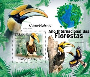 MOZAMBIQUE - 2011 - Great Hornbills - Perf Souv Sheet - Mint Never Hinged