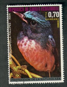 Equatorial Guinea Bird used CTO single from 1974