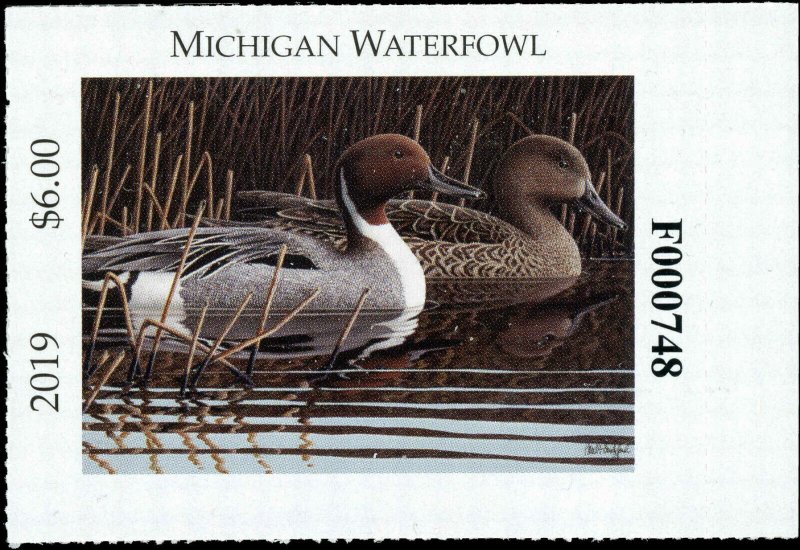 MICHIGAN  #44  2019 STATE DUCK STAMP PINTAILS by Paul Bridgford