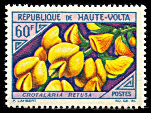 Upper Volta 125, MNH, Flowering Legume, Rattleweed