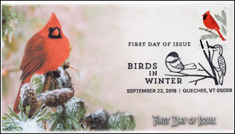 18-262, 2018, Birds in Winter, Pictorial Postmark, Cardinal, FDC