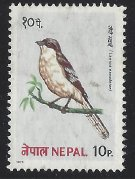 Nepal # 366 Used