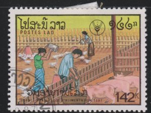 Laos 831 Tending Pigs. Chickens 1987