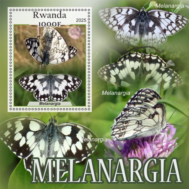 Stamps.Fauna, Butterflies  2025 year 8 sheets perforated