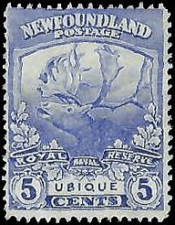 NEWFOUNDLAND   #119 USED (11)