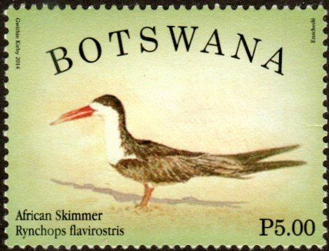 Botswana 946 - Used - 5p African Skimmer (2014) (cv $1.10)