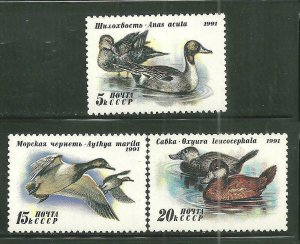 Russia MNH 6009-11 Ducks Birds