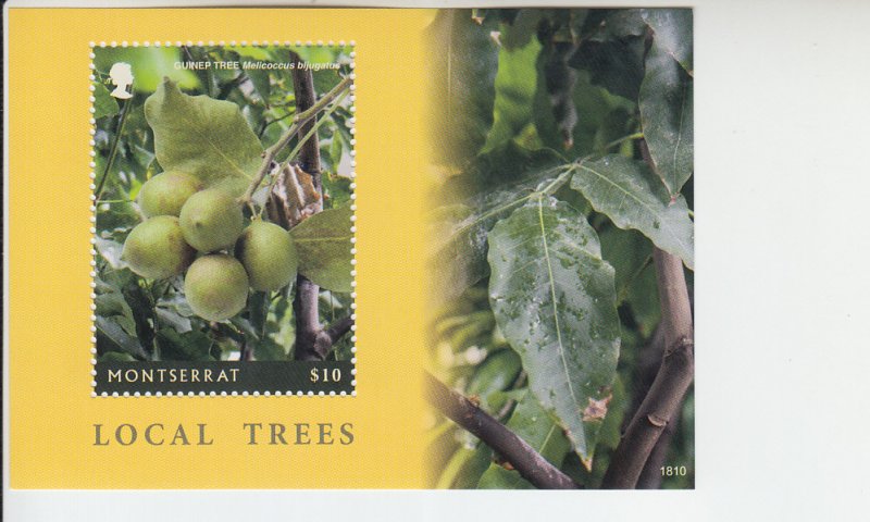 2019 Montserrat Local Trees SS Guinep Tree (Scott 1421) MNH