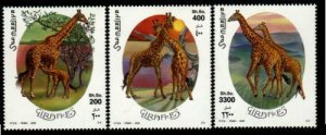 Somalia  MNH  Michel  808-10 Giraffes Value 15 Euro