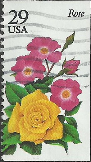 # 2833 USED ROSE