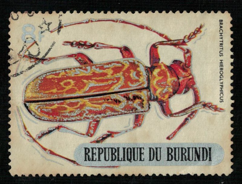 Beetle, (3407-Т)