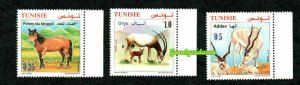 2019 - Tunisia - Animals in danger of extinction in Tunisia- Poney- Addax- Oryx 