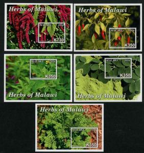 HERRICKSTAMP NEW ISSUES MALAWI Sc.# 835-39 Herbs Souvenir Sheets